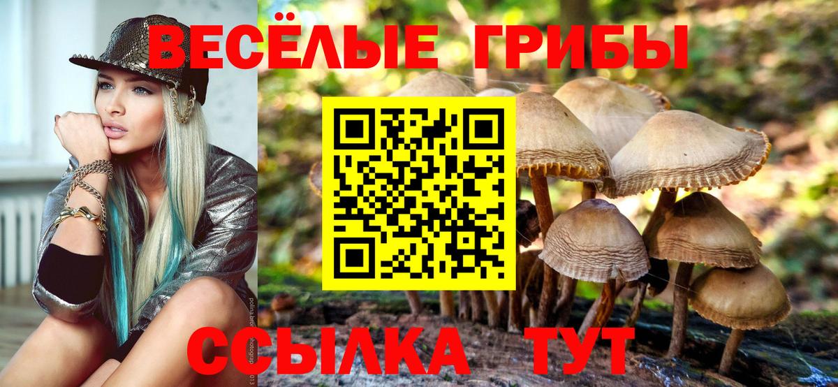 Воронеж  Галлюциногенные грибы Cubensis  Вход с VPN 